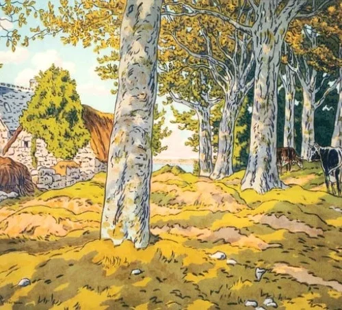 Pintar por Números - El bosque de hayas