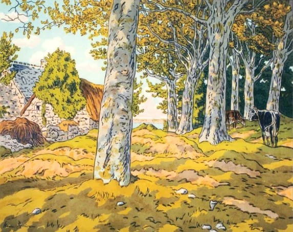 Pintar por Números - El bosque de hayas