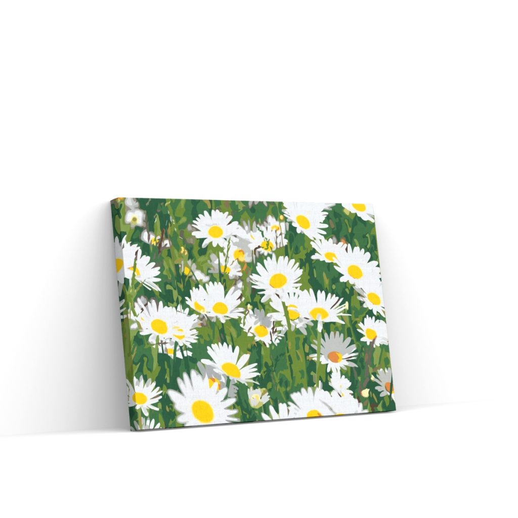 Pintar por Números - Margaritas en el prado