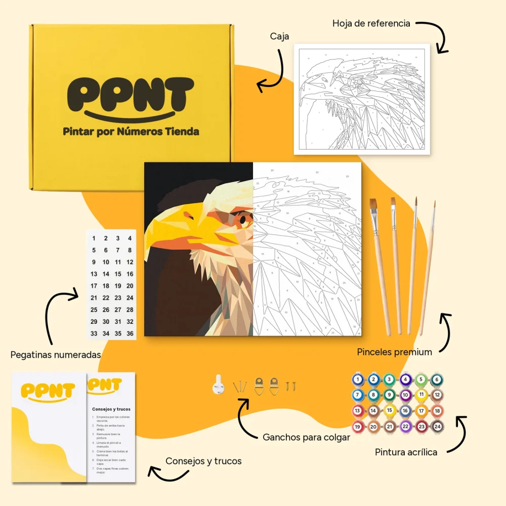 Pintar por Números - Águila con pico amarillo