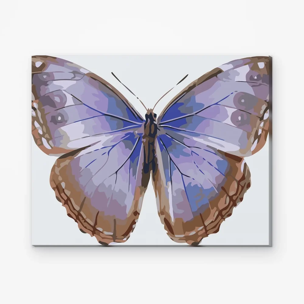 Pintar por Números - Alas de mariposa