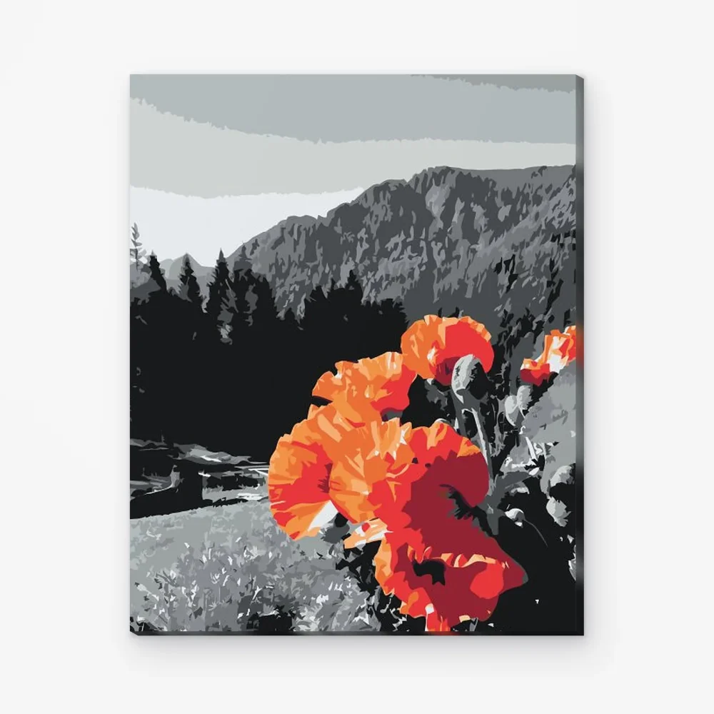 Pintar por Números - Amapolas en las montañas
