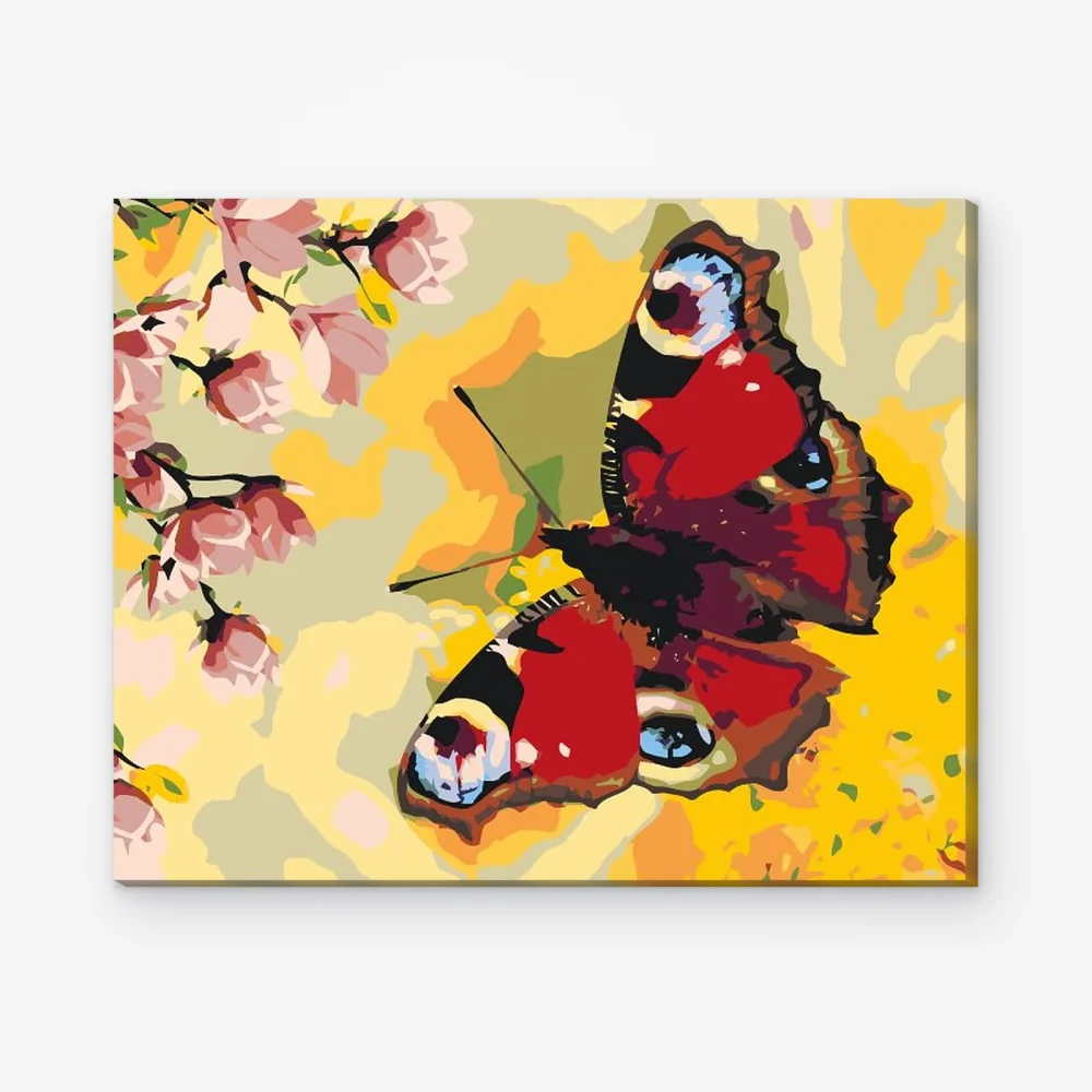 Pintar por Números - Babočka ojo de pavo real