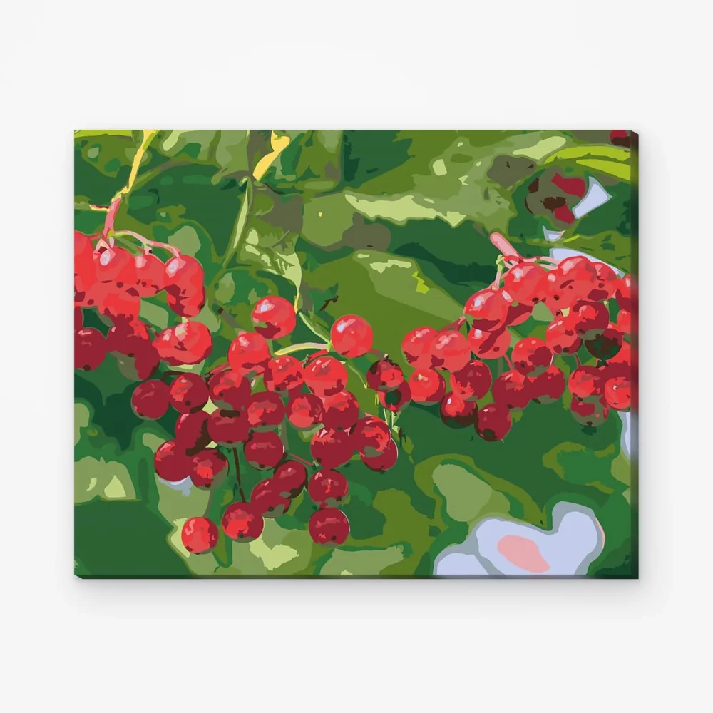 Pintar por Números - Bayas en el árbol