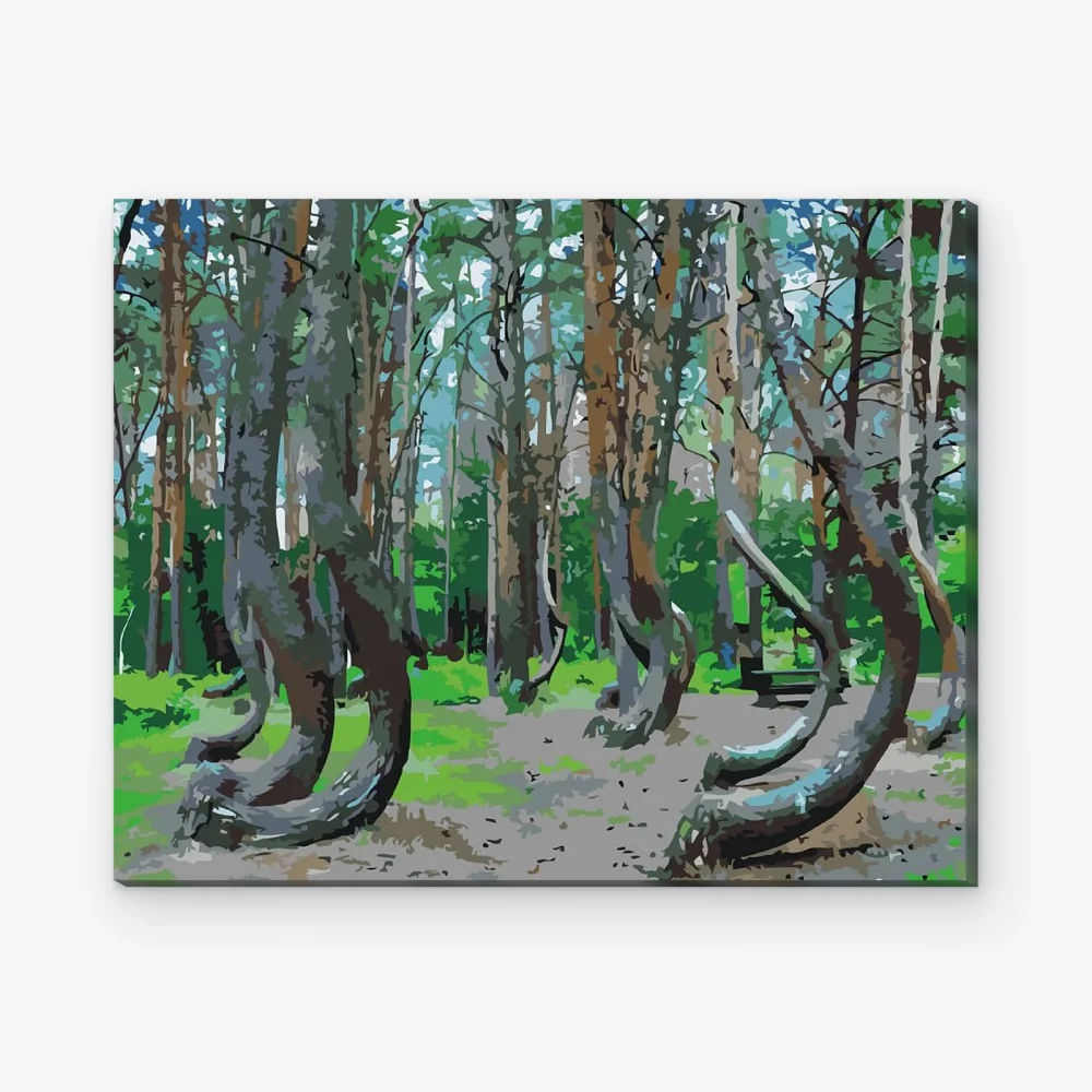 Pintar por Números - Bosque Torcido, Polonia