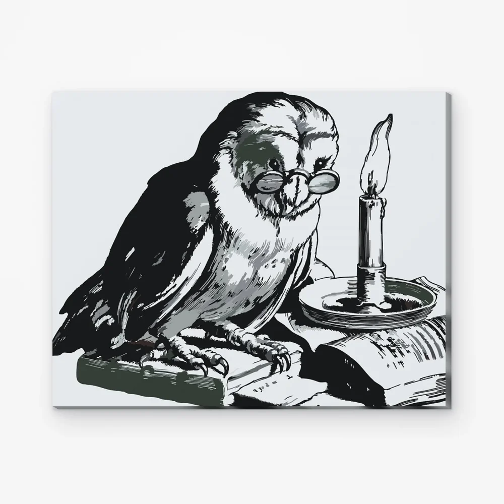 Pintar por Números - Búho amaestrado