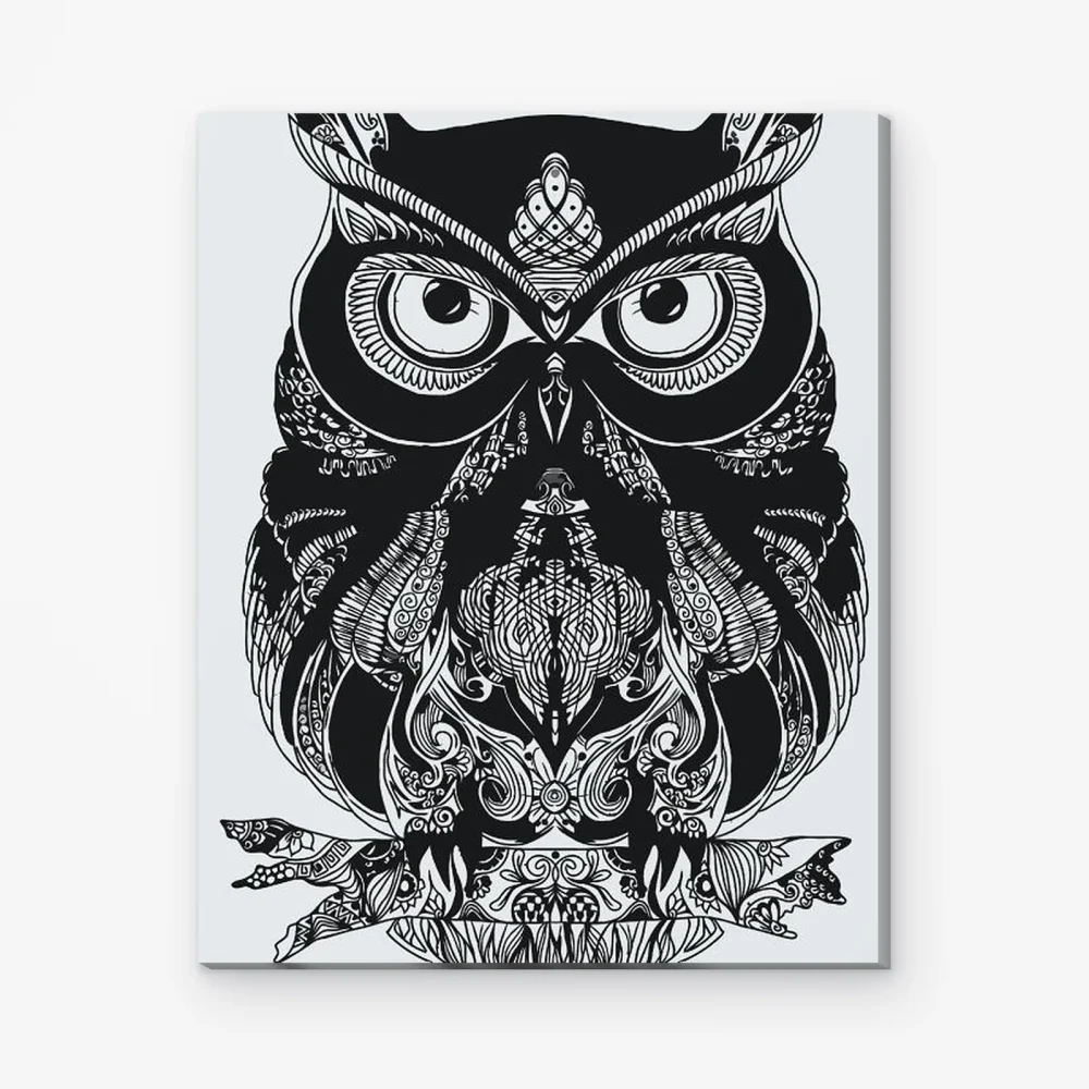 Pintar por Números - Búho mandala