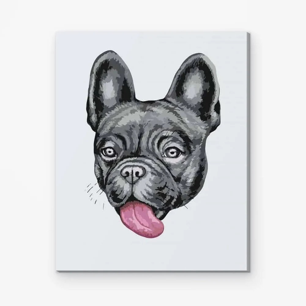 Pintar por Números - Bulldog con lengua de fuera