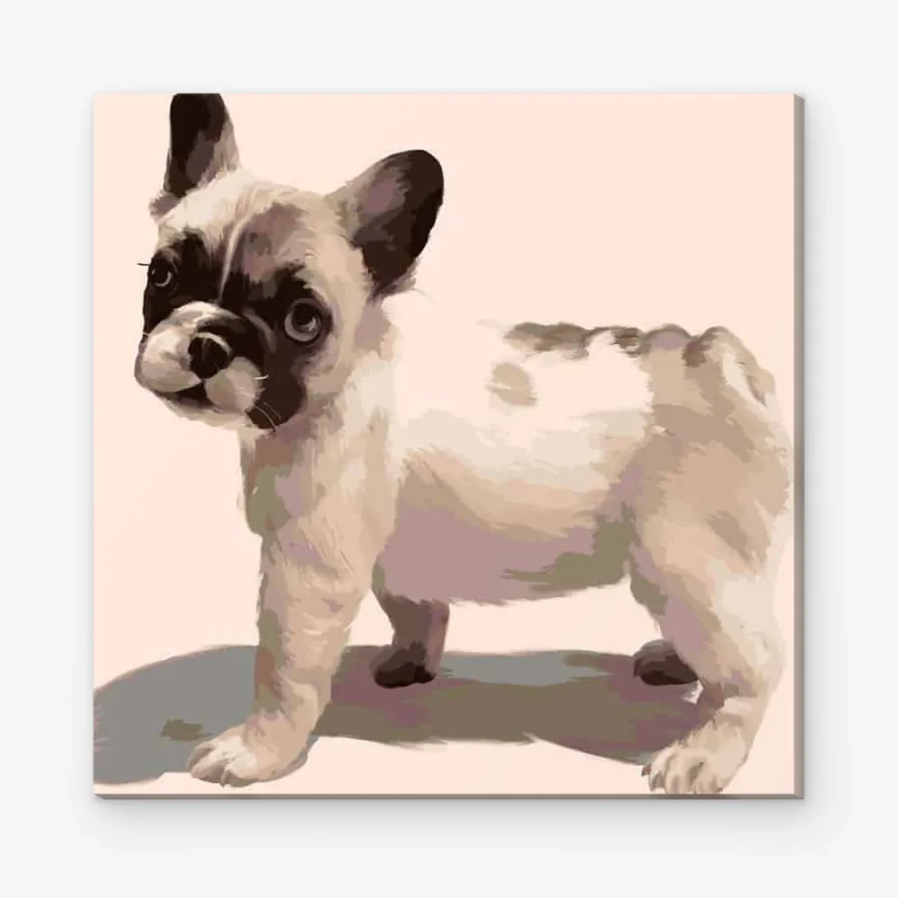 Pintar por Números - Bulldog francés
