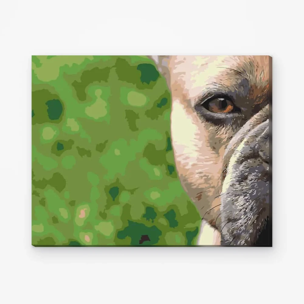 Pintar por Números - Bulldog francés asomándose