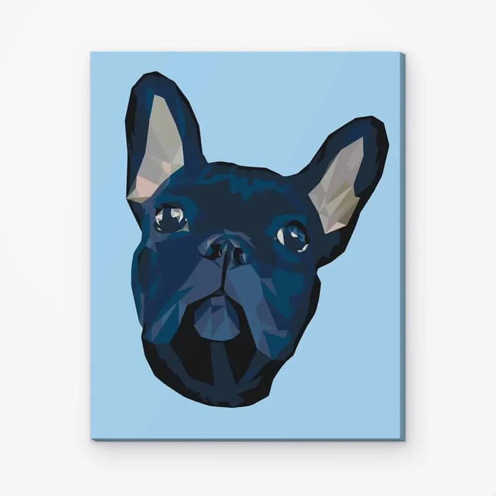 Pintar por Números - Bulldog francés 4