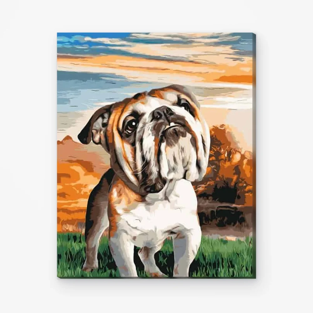 Pintar por Números - Bulldog inglés en el jardín