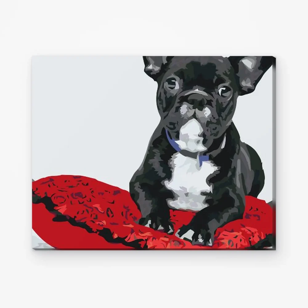 Pintar por Números - Bulldog negro sobre un cojín