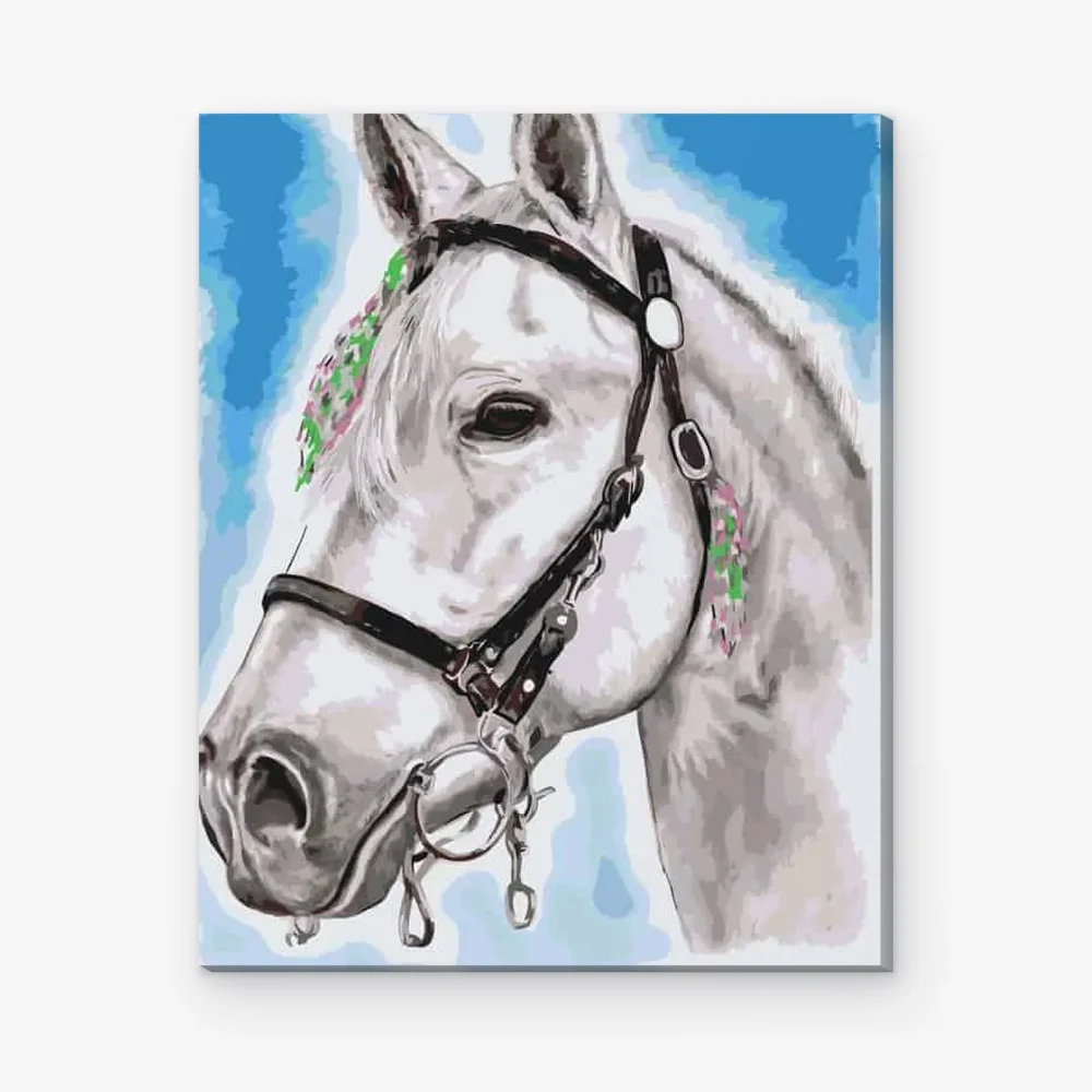 Pintar por Números - Caballo blanco