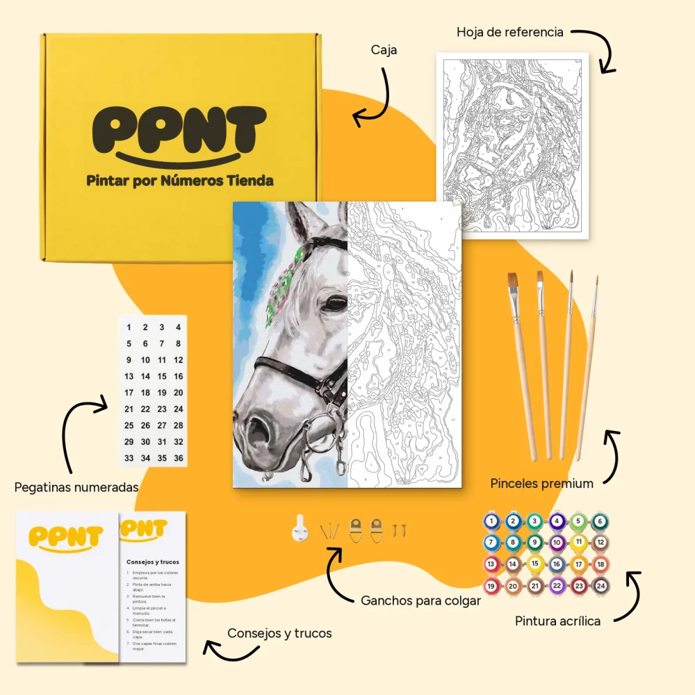Pintar por Números - Caballo blanco