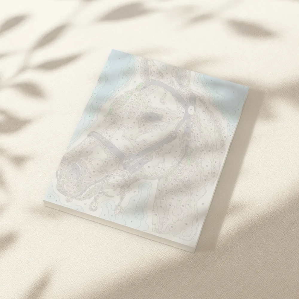 Pintar por Números - Caballo blanco