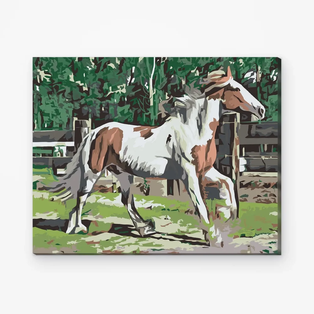 Pintar por Números - Caballo en el corral