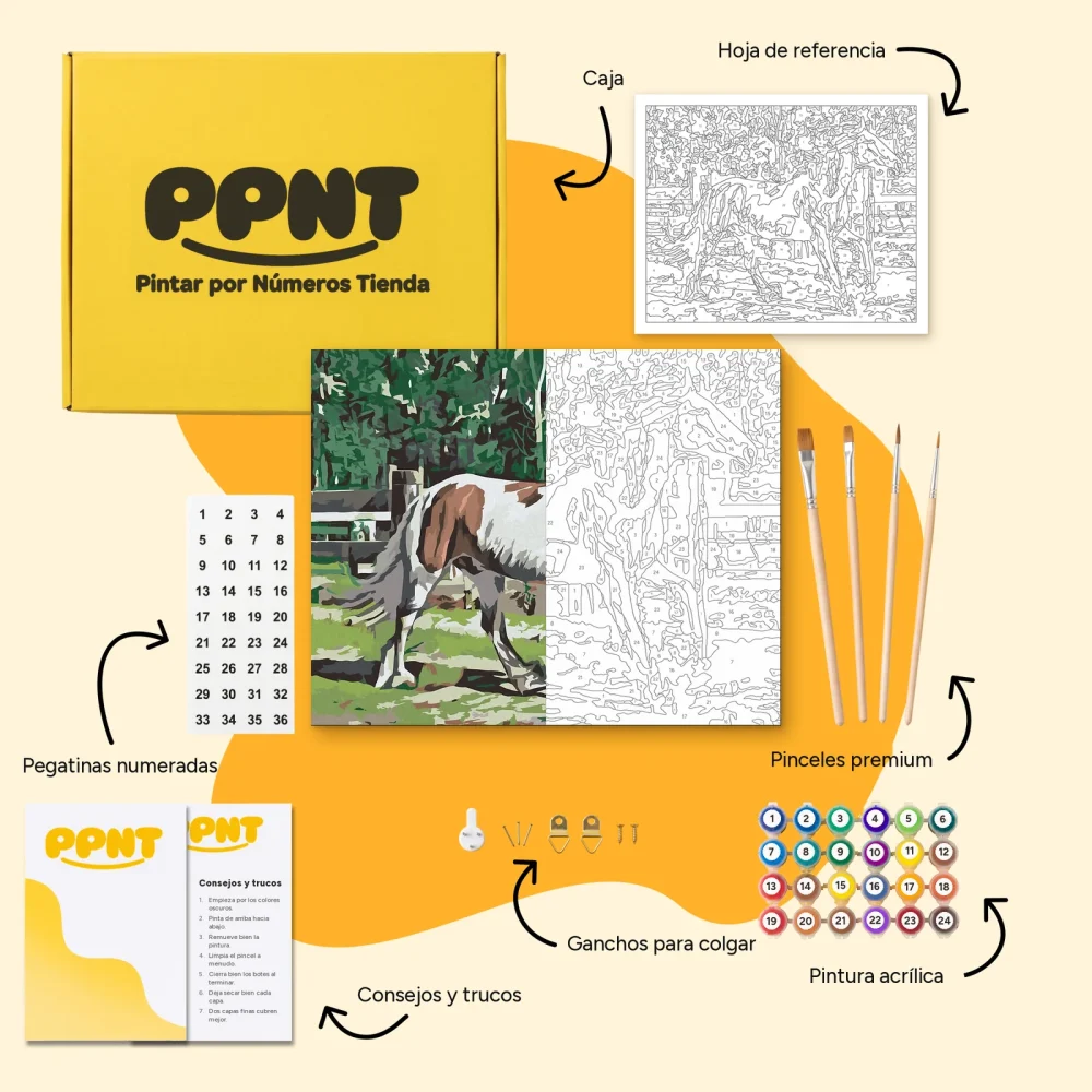 Pintar por Números - Caballo en el corral