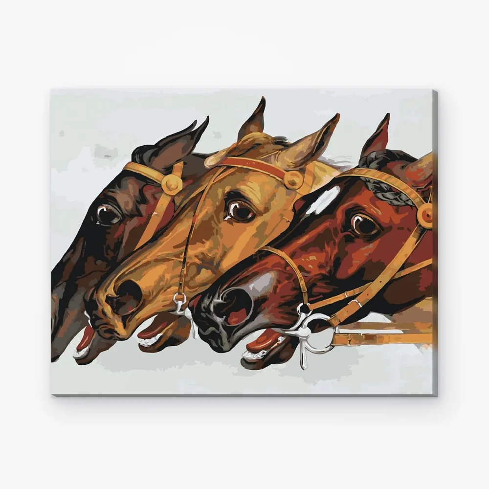 Pintar por Números - Cabezas de caballos de carreras