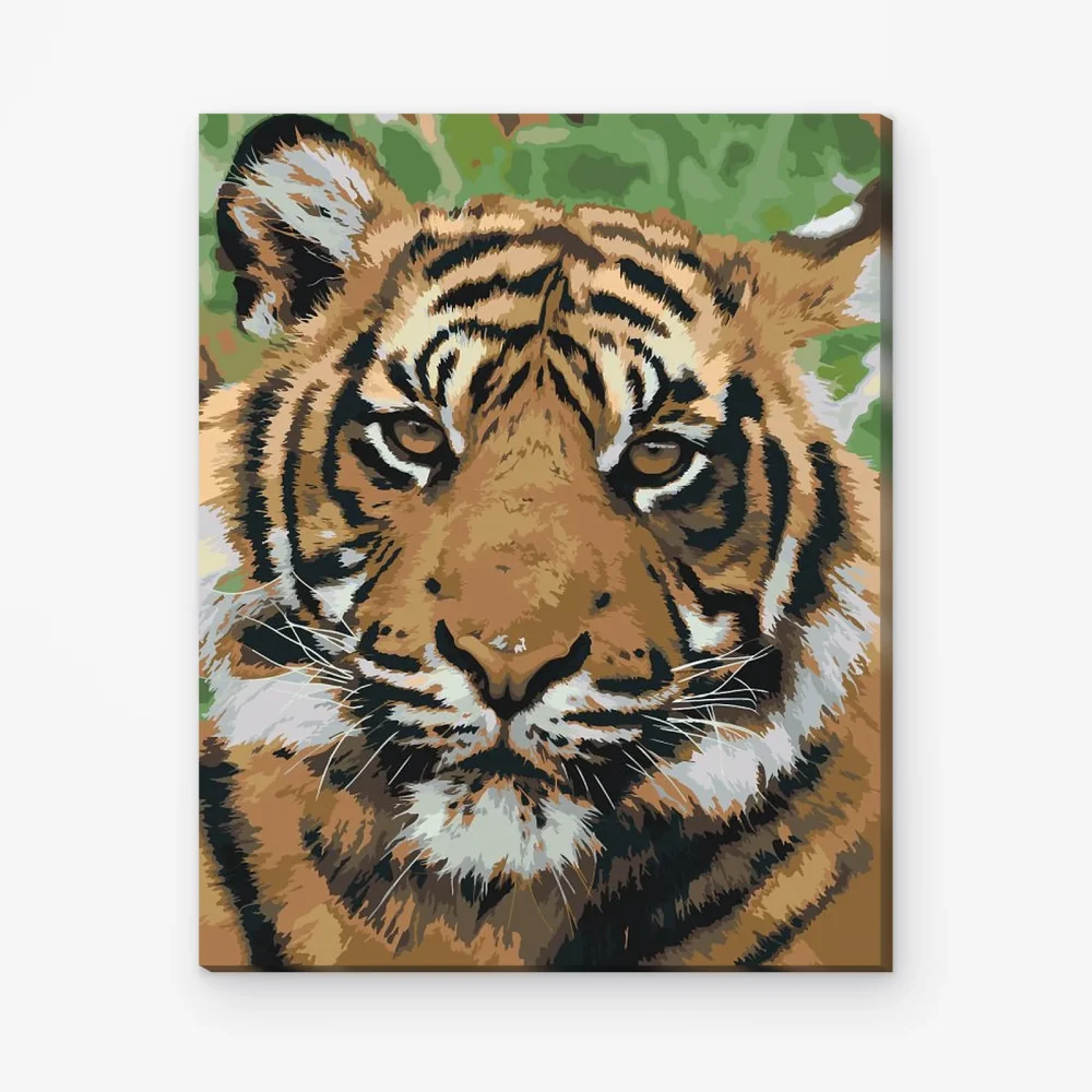 Pintar por Números - Cabeza de tigre 2