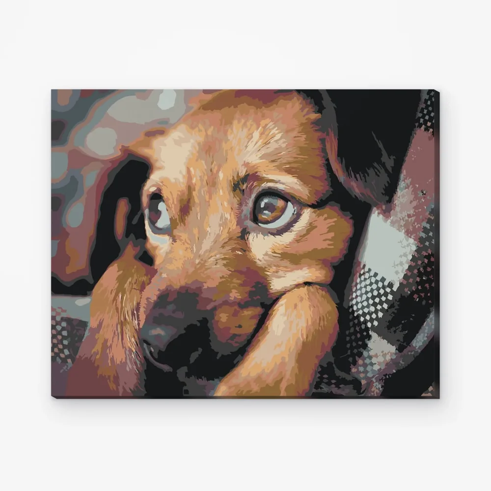 Pintar por Números - Cachorro