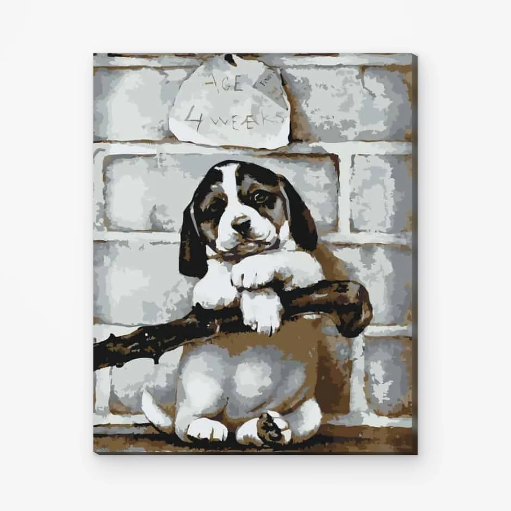 Pintar por Números - cachorro de 4 semanas