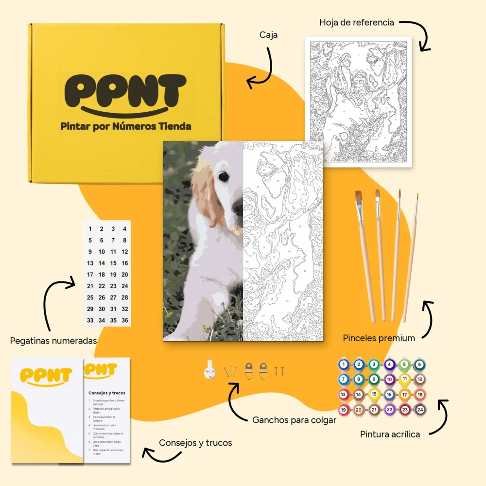 Pintar por Números - Cachorro de labrador