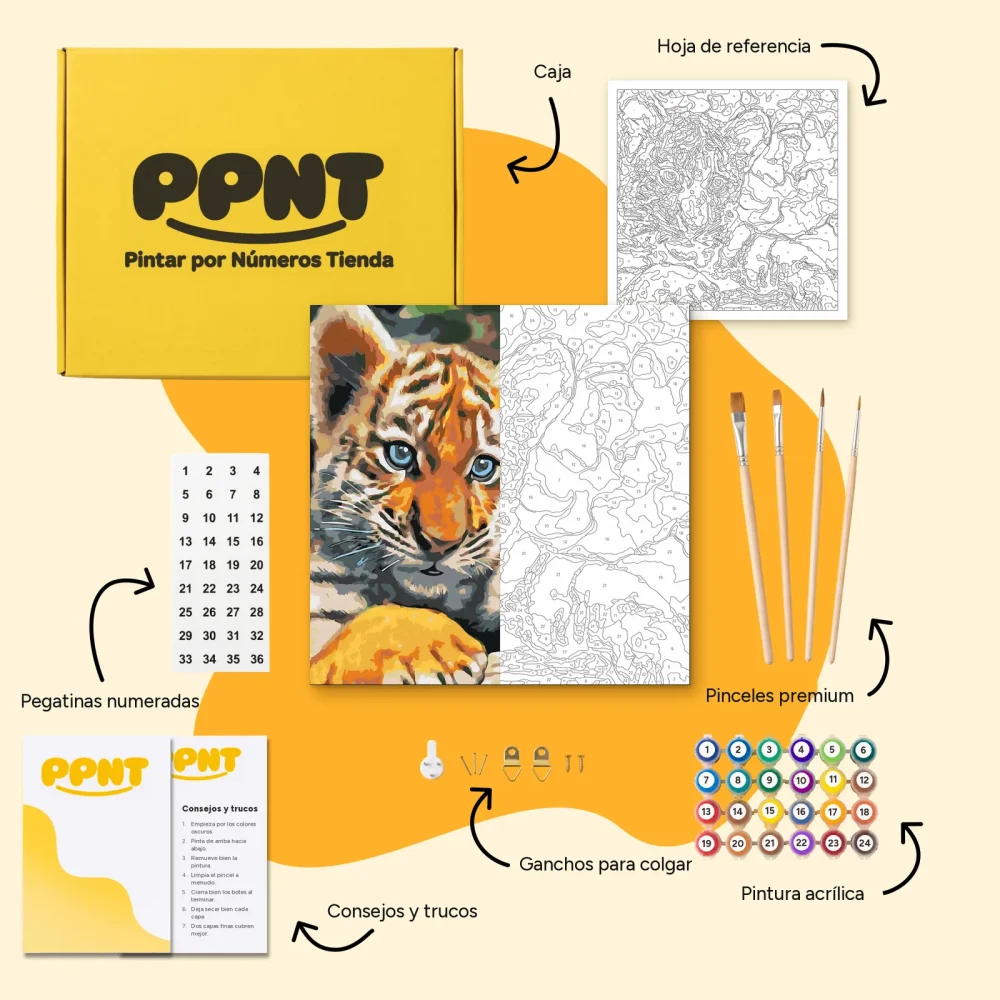 Pintar por Números - Cachorro de tigre
