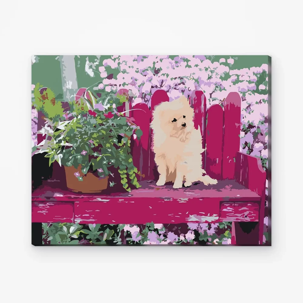 Pintar por Números - Cachorro en el sofá