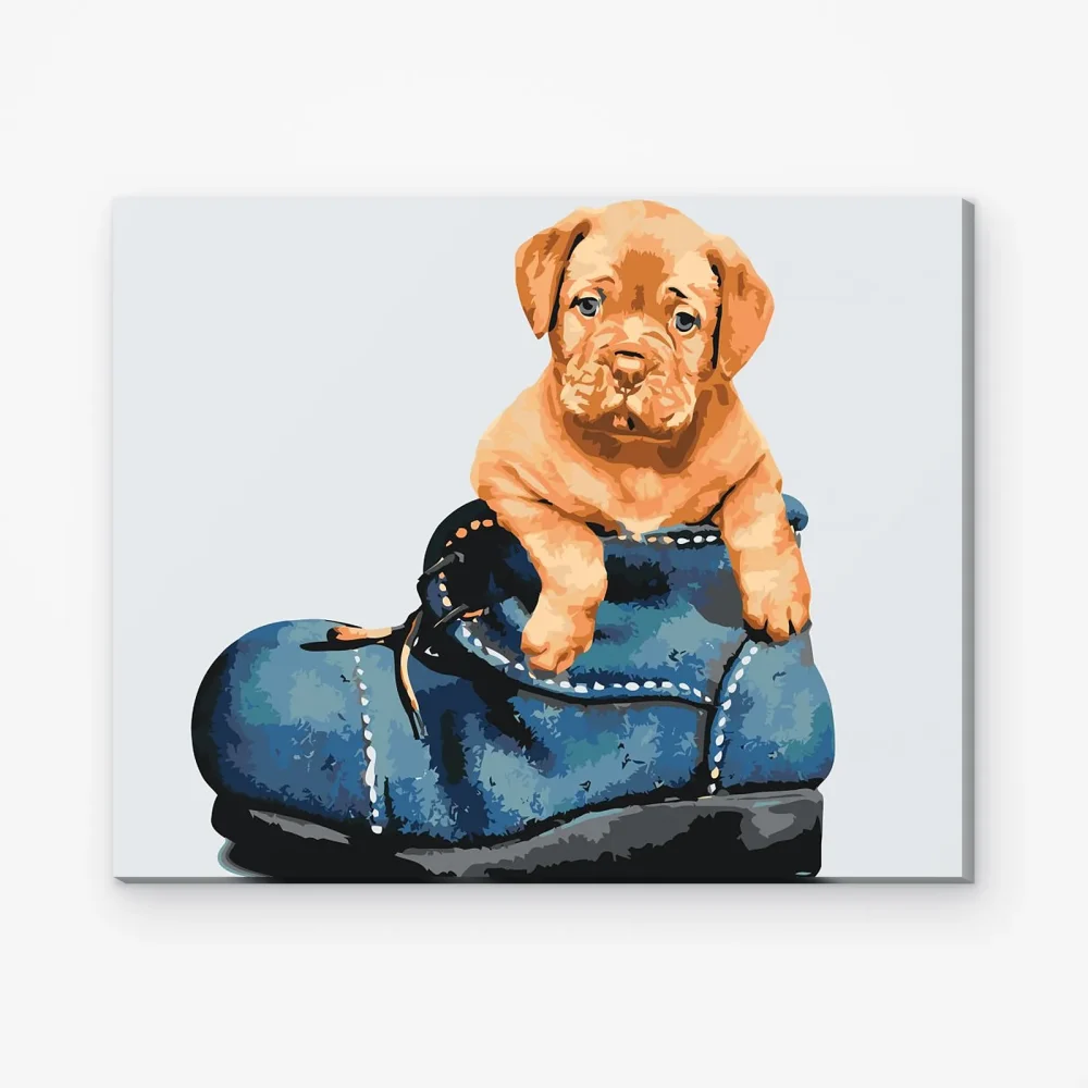 Pintar por Números - Cachorro en el zapato