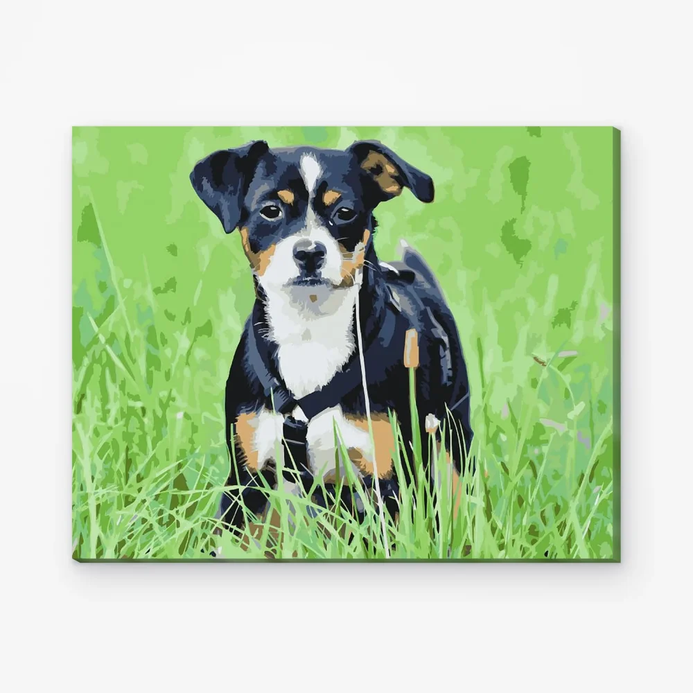 Pintar por Números - Cachorro en la hierba