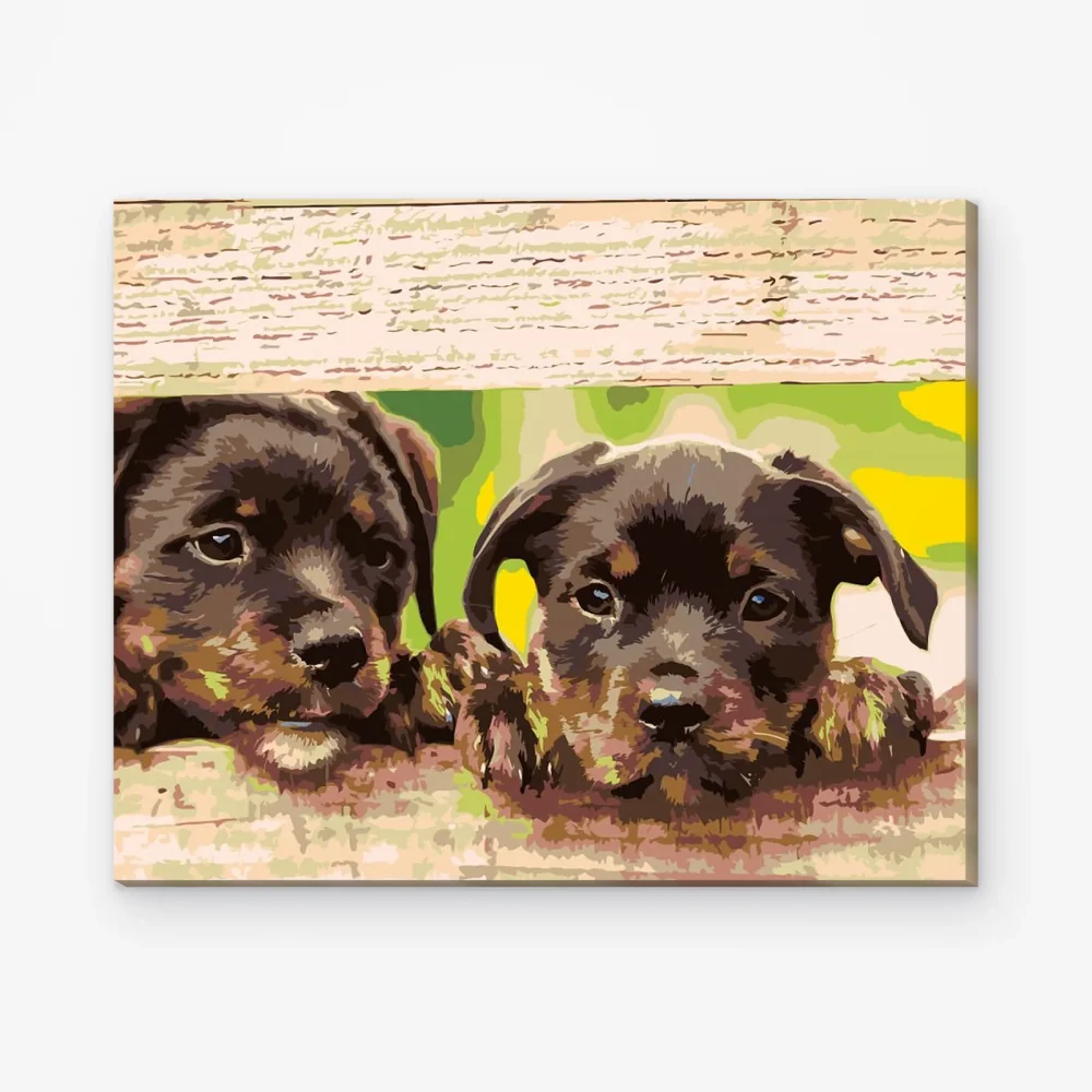 Pintar por Números - Cachorros