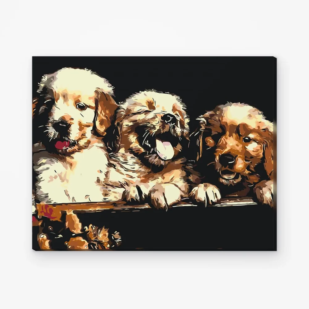 Pintar por Números - Cachorros de Retriever