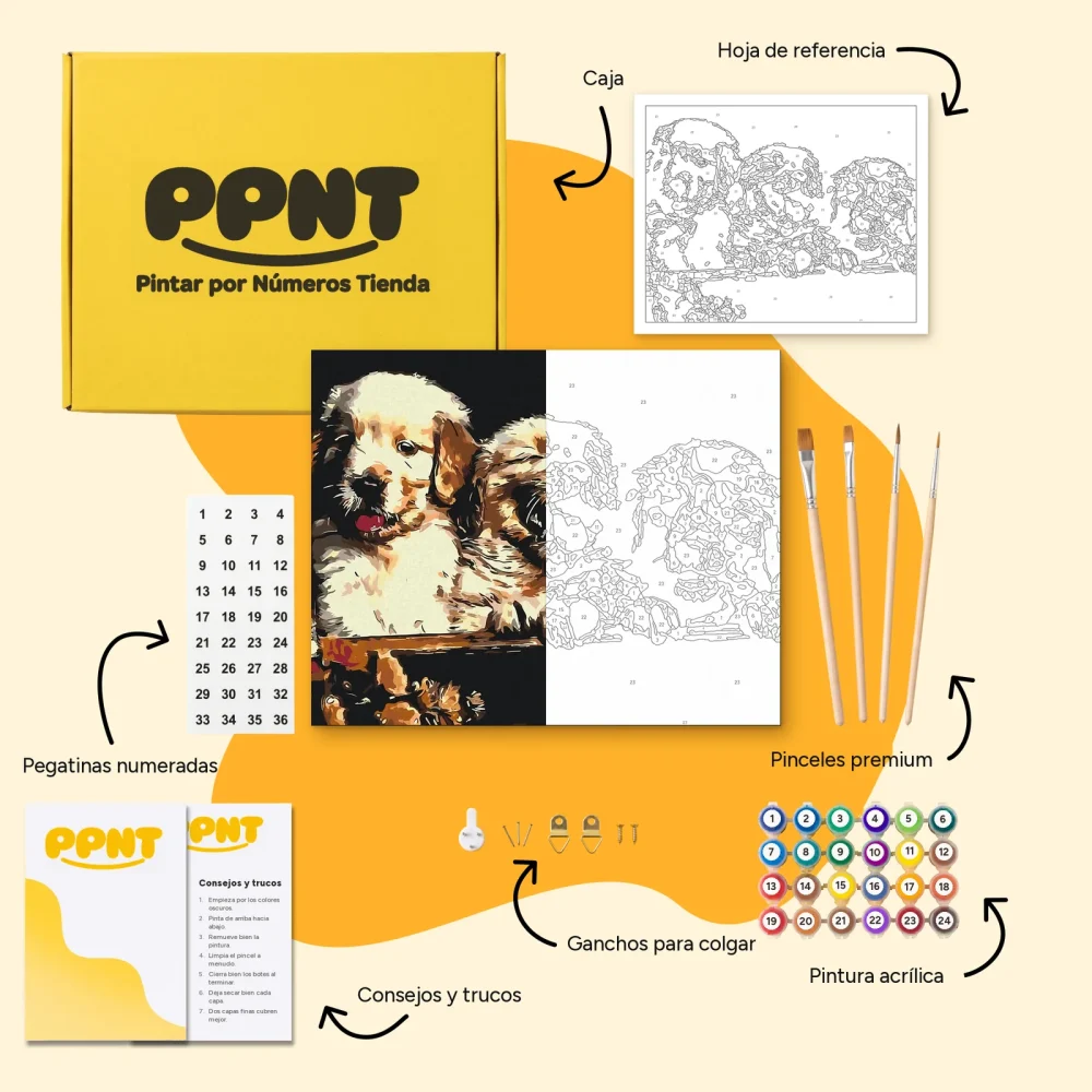 Pintar por Números - Cachorros de Retriever
