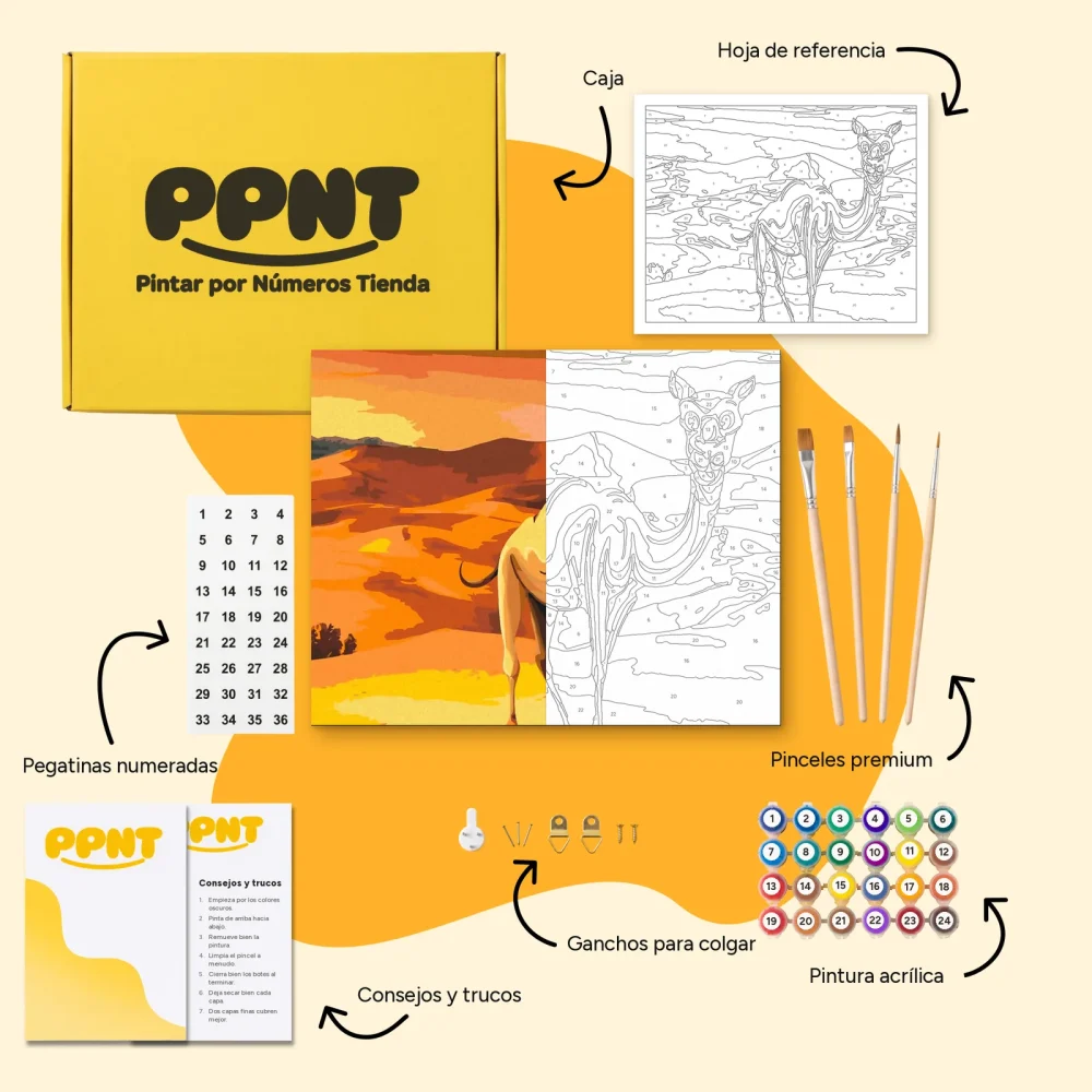 Pintar por Números - Camello en el desierto