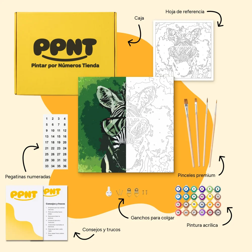 Pintar por Números - Cebra con gafas