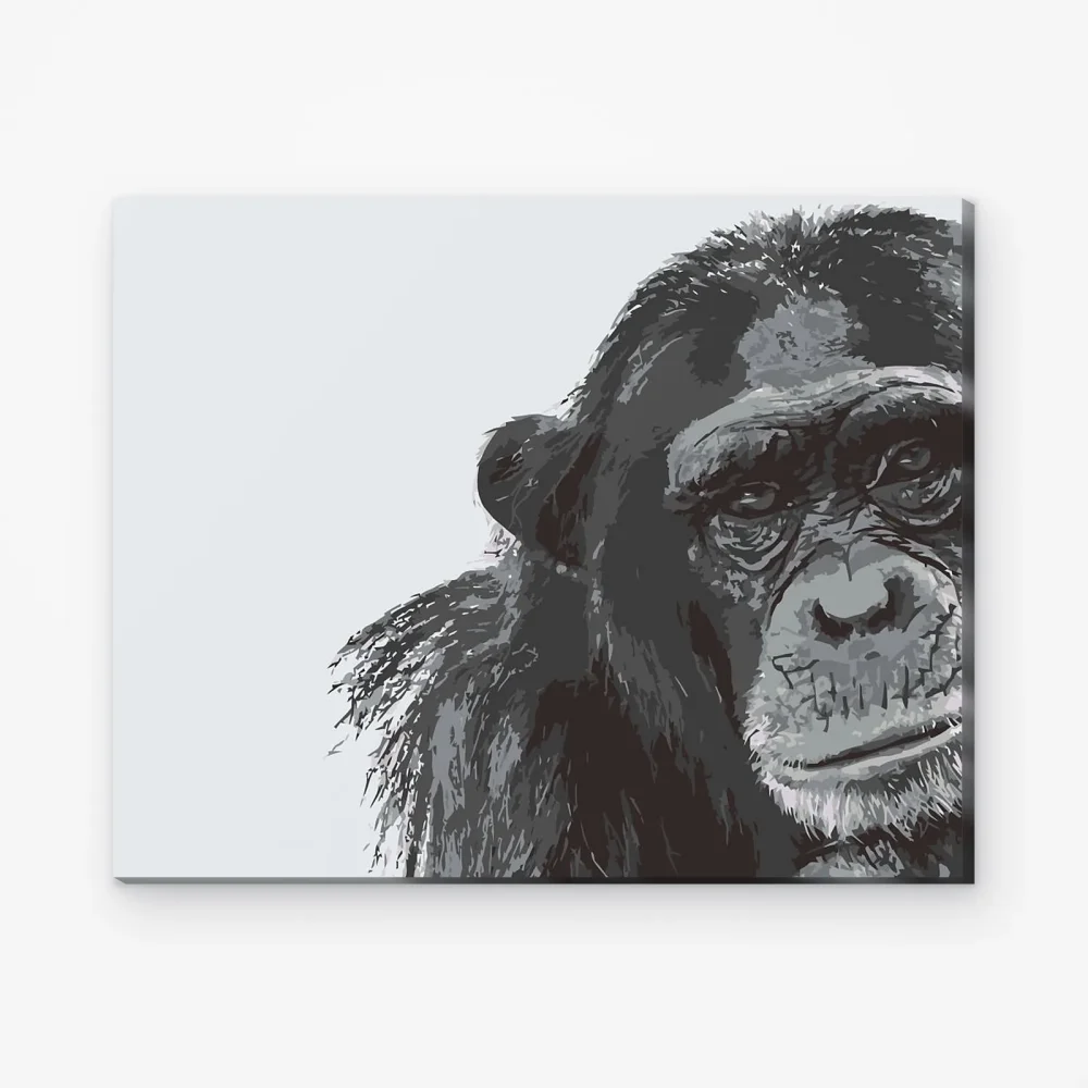 Pintar por Números - Chimpancé