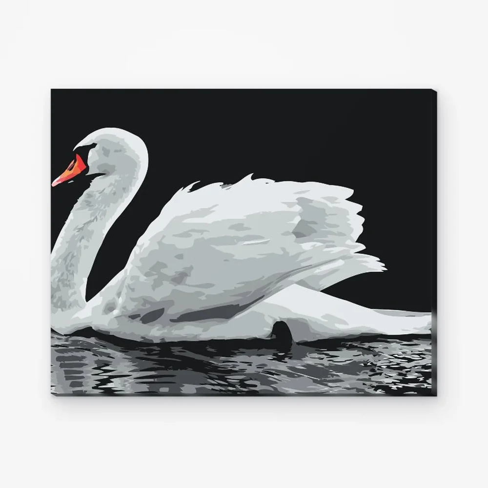 Pintar por Números - Cisne blanco