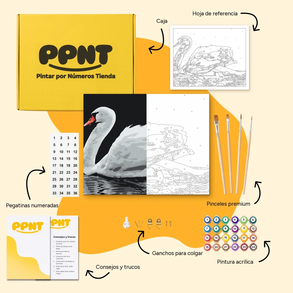 Pintar por Números - Cisne blanco