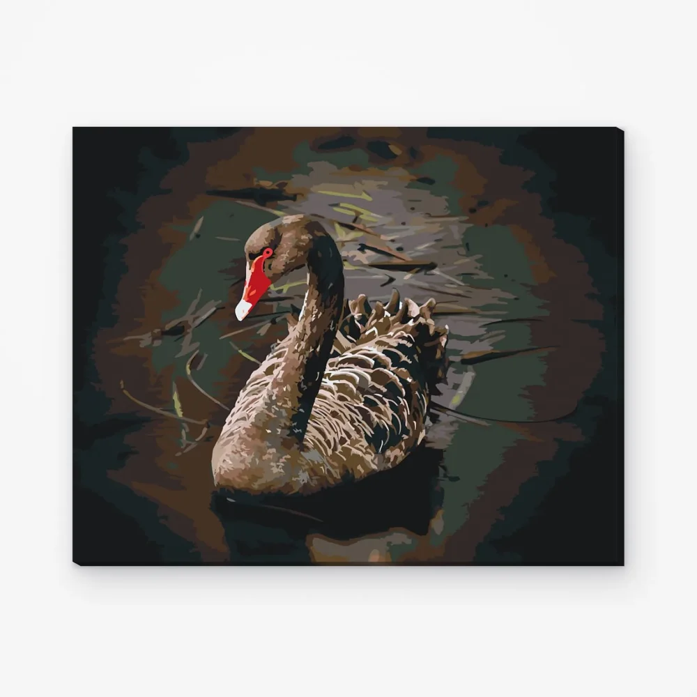 Pintar por Números - Cisne negro