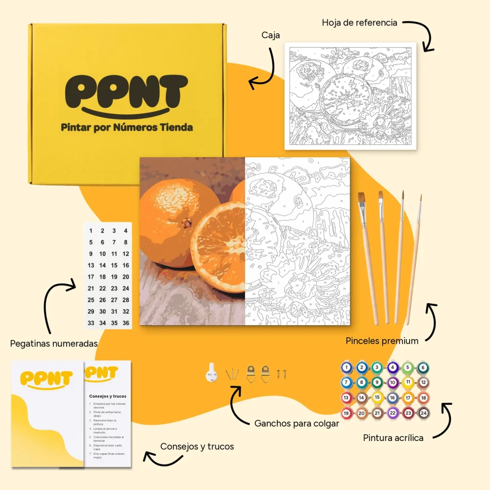 Pintar por Números - Cítricos, naranja