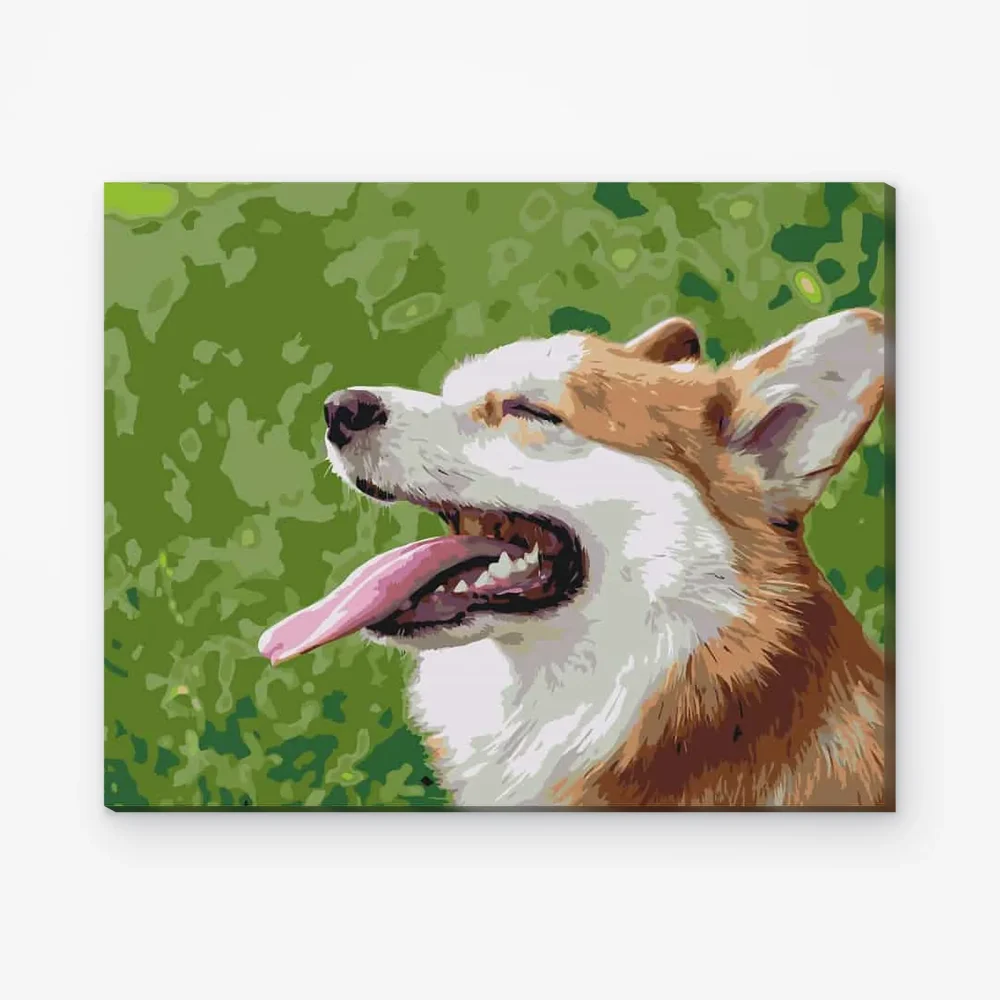 Pintar por Números - Corgi