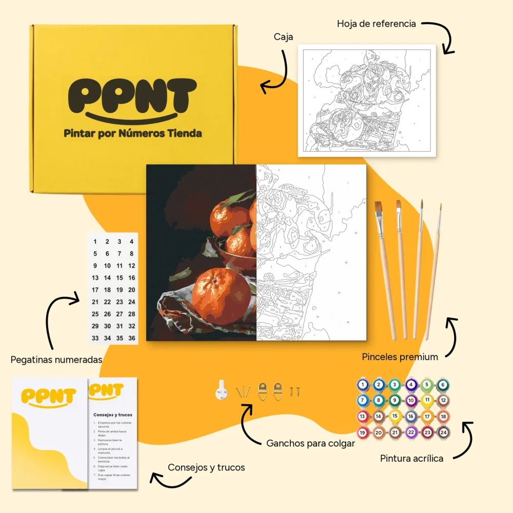 Pintar por Números - Cuenco con mandarinas