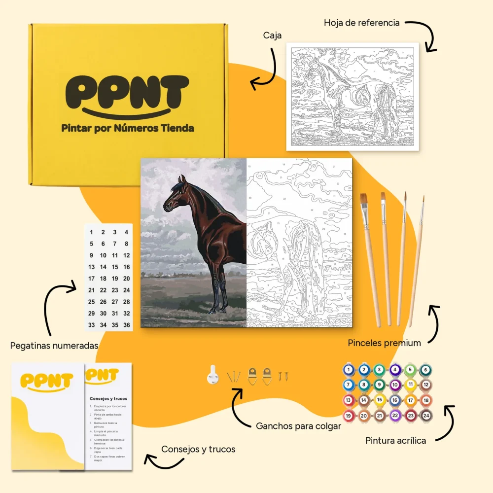 Pintar por Números - El majestuoso caballo