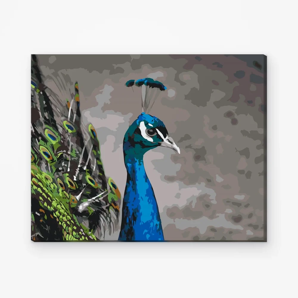 Pintar por Números - El majestuoso pavo real