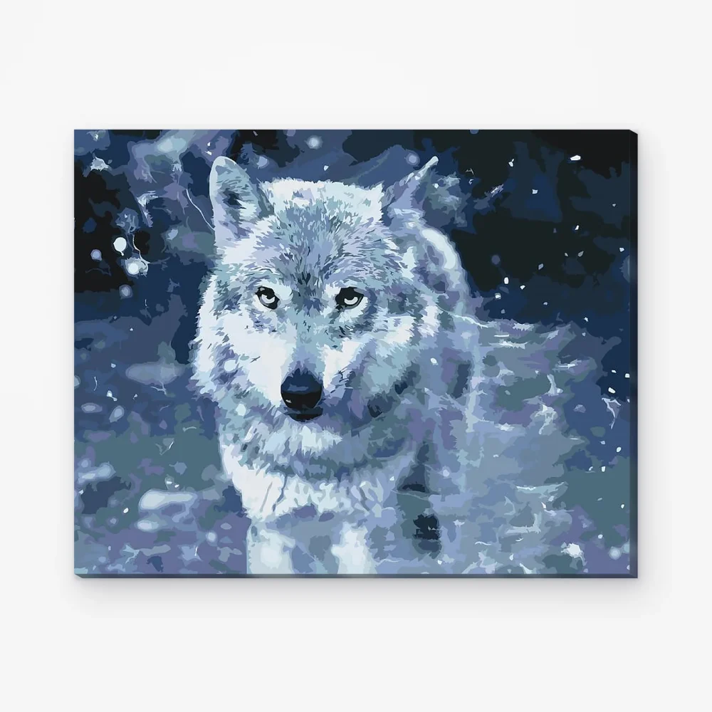 Pintar por Números - El pirata lobo