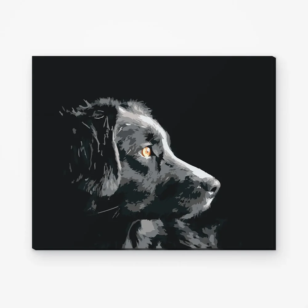 Pintar por Números - El punto de vista del perro