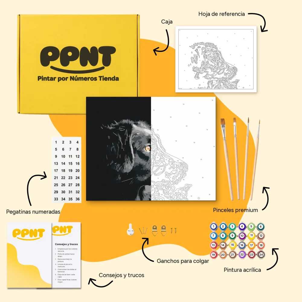 Pintar por Números - El punto de vista del perro