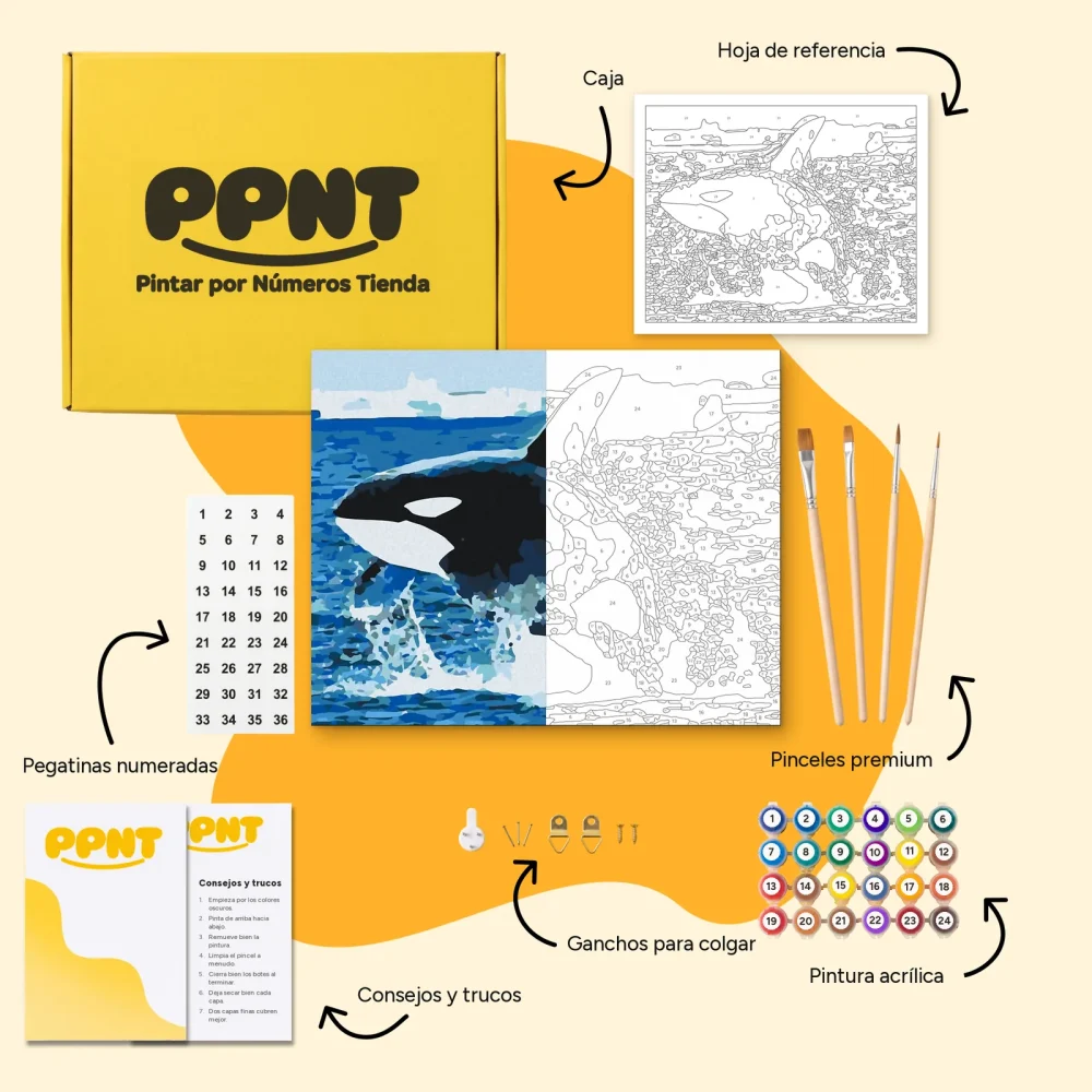 Pintar por Números - El salto de la orca