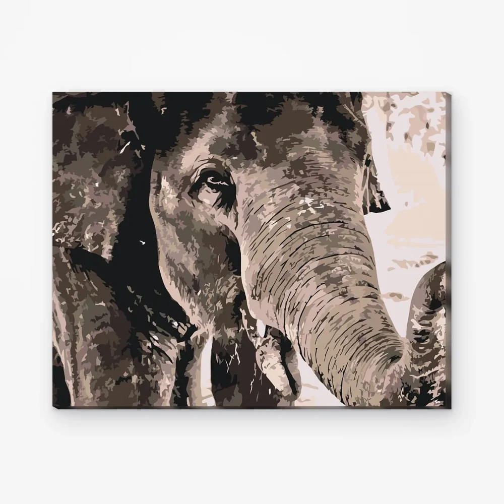 Pintar por Números - Elefante en colores grises